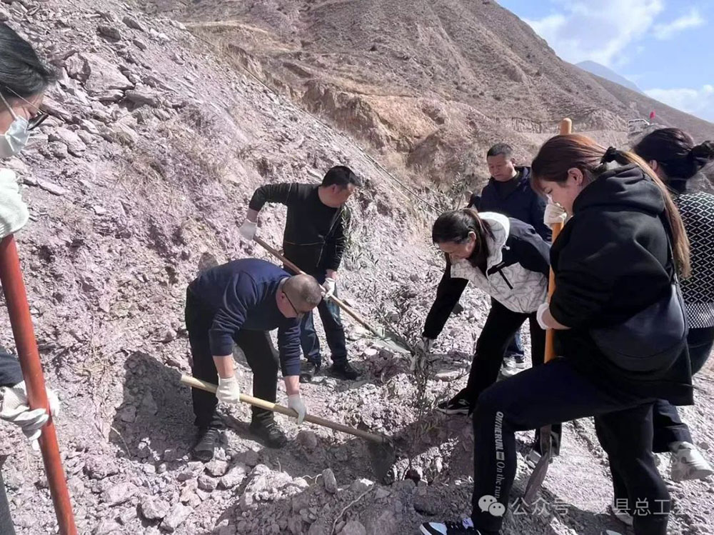 文县总工会春季义务植树在行动