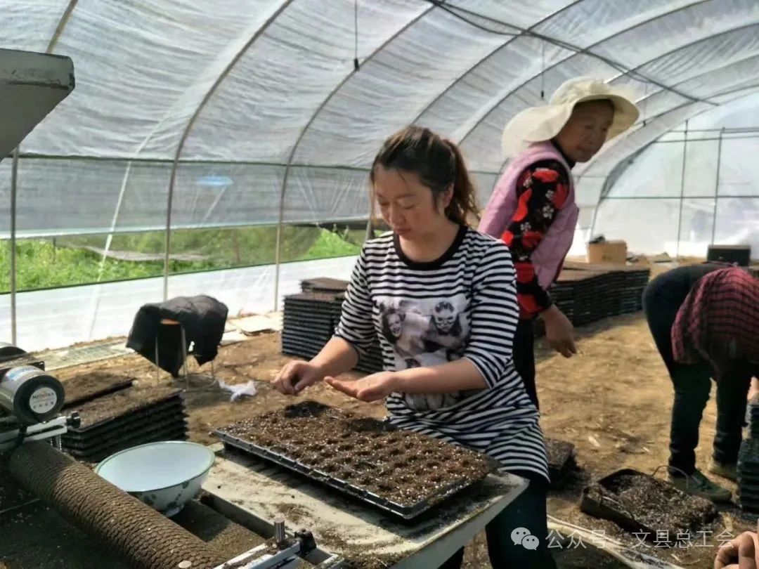 【陇南劳模风采】